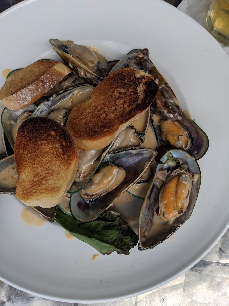 Flavio Restaurant Dc-10